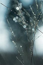 扮演恐龙体验末世东京 《Kyoryu》公布预告片